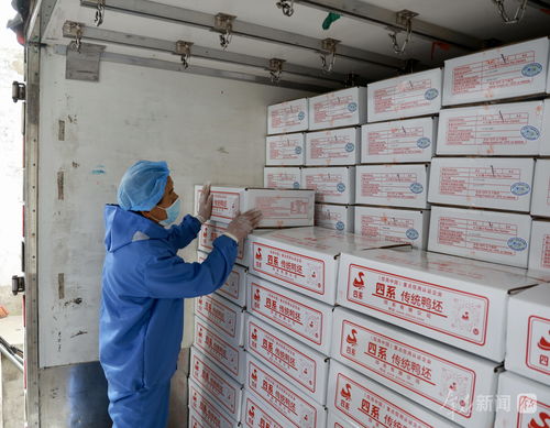 韩城肉鸭产品首次供应香港市场 品质与品牌的崭新突破